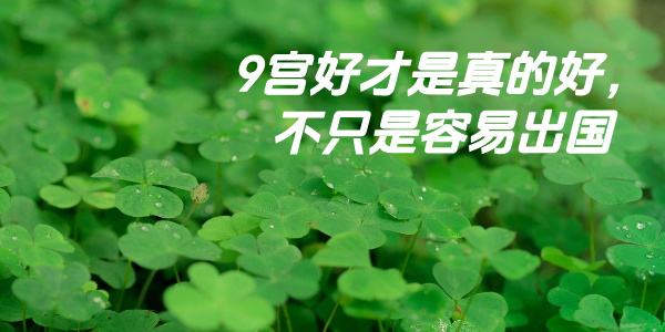 9宫好才是真的好,不只是容易出国