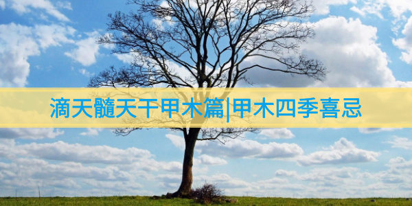 滴天髓天干甲木篇|甲木四季喜忌