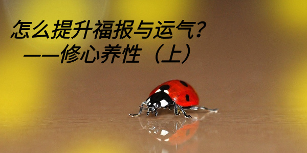 怎么提升福报与运气?——修心养性(上)