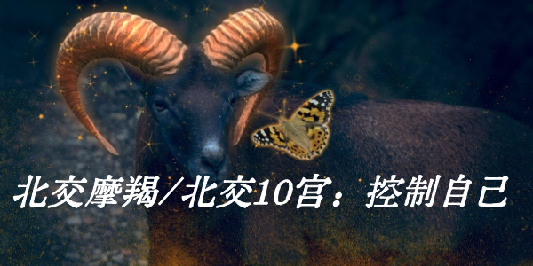 北交摩羯/北交10宫:控制自己