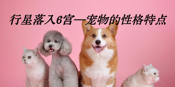 行星落入6宫——宠物的性格特点