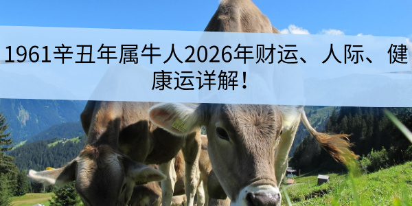 1961辛丑年属牛人2026年财运、人际、健康运详解!