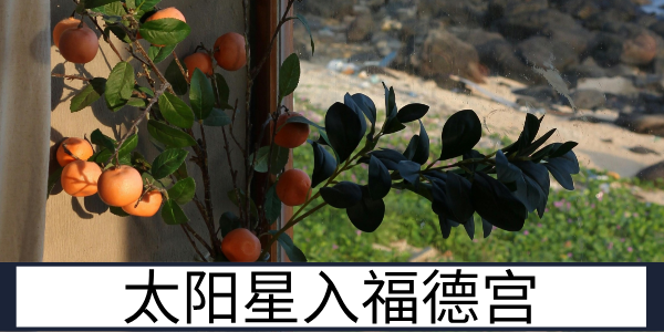 太阳星入福德宫:责任心重的享福者