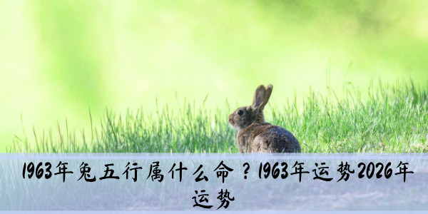 1963年兔五行属什么命?1963年运势2026年运势