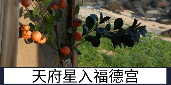 天府星入福德宫:物质支撑的精神享