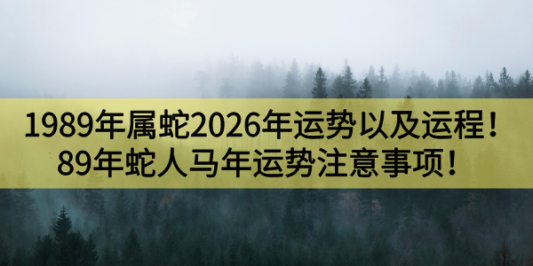1989年属蛇2026年运势以及运程详解!89年蛇人马年运势注意事项!