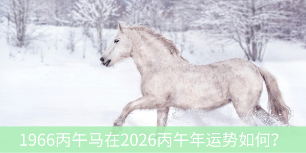 1966丙午马在2026丙午年运势如何?