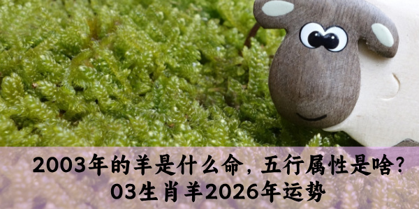 2003年的羊是什么命,五行属性是啥?03生肖羊2026年运势