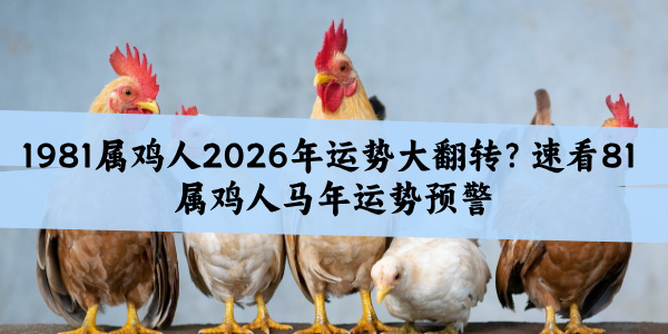 1981属鸡人2026年运势大翻转?速看81属鸡人马年运势预警