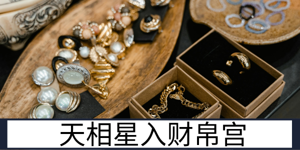 天相星入财帛宫:平稳稳健的聚财运