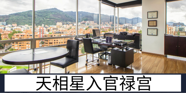 天相星入官禄宫:尽责靠谱的职场辅佐者