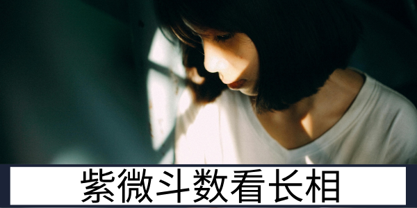 如何通过紫微斗数看一个人的长相