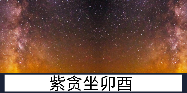 紫贪卯酉:浪漫与理智的双重博弈