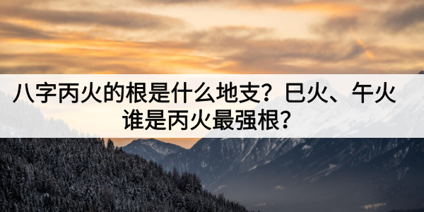 八字丙火的根是什么地支?巳火、午火谁是丙火最强根?