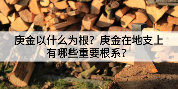 庚金以什么为根?庚金在地支上有哪些重要根系?