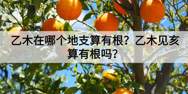 乙木在哪个地支算有根?乙木见亥算有根吗?