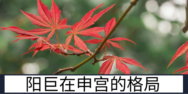 阳巨在申宫的格局短板与不同年份的运势表现