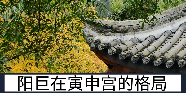 阳巨在寅申宫的格局特质与寅宫的发展优势