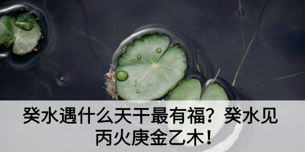 癸水遇什么天干最有福?癸水见丙火庚金乙木!
