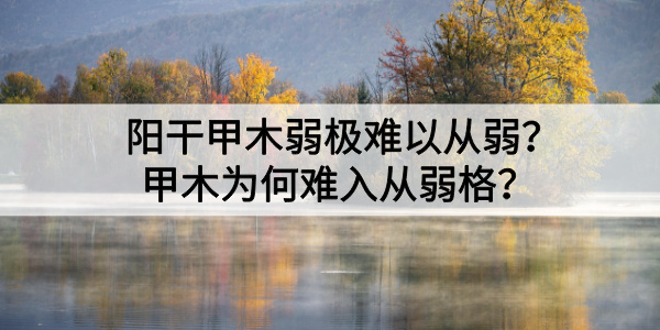 阳干甲木弱极难以从弱?甲木为何难入从弱格?
