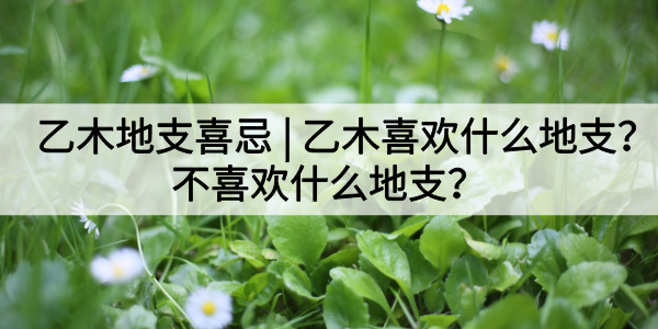 乙木地支喜忌|乙木喜欢什么地支?不喜欢什么地支?