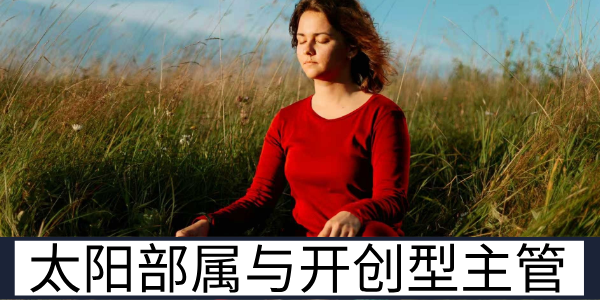 太阳部属与开创型主管的互动模式及彼此调整方向