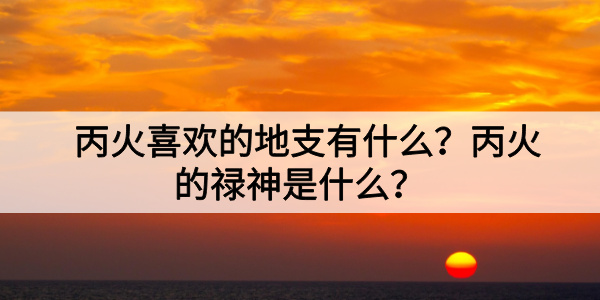 丙火喜欢的地支有什么?丙火的禄神是什么?