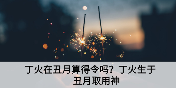 丁火在丑月算得令吗?丁火生于丑月取用神
