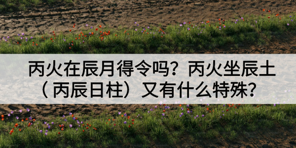 丙火在辰月得令吗?丙火坐辰土(丙辰日柱)又有什么特殊?