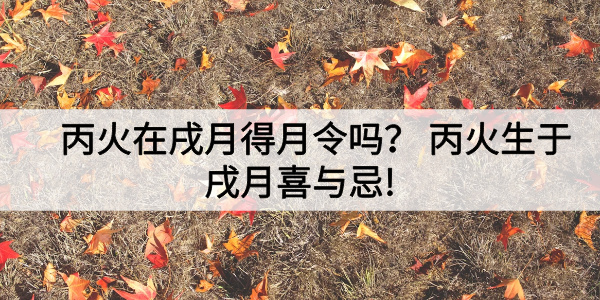 丙火在戌月得月令吗?丙火生于戌月喜与忌!