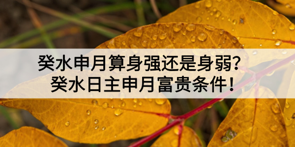 癸水申月算身强还是身弱?癸水日主申月富贵条件!