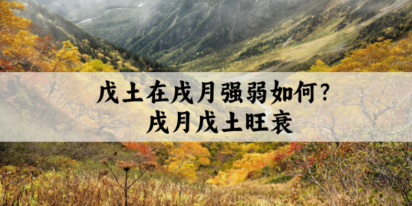 戊土在戌月强弱如何?戌月戊土旺衰