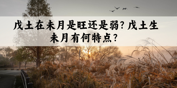 戊土在未月是旺还是弱?戊土生未月有何特点?
