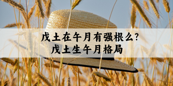 戊土在午月有强根么?戊土生午月格局