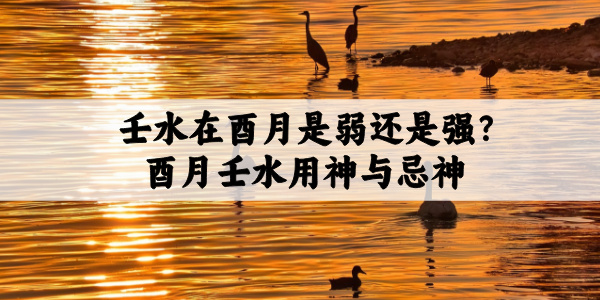 壬水在酉月是弱还是强?酉月壬水用神与忌神