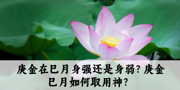 庚金在巳月身强还是身弱?庚金巳月如何取用神?