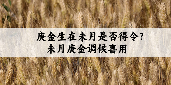 庚金生在未月是否得令?未月庚金调候喜用