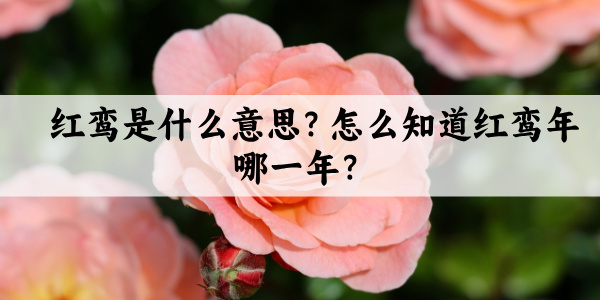 红鸾是什么意思?怎么知道红鸾年哪一年?