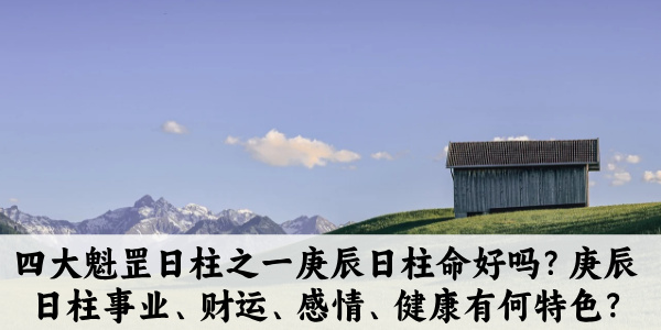 庚辰日柱是四大魁罡日柱之一,是上等日柱。天干庚金,地支辰土又为水库,多藏财蓄势。因藏干有偏印戊土、正财乙木、伤官癸水,辰又被称为魁罡,为人兼有贵气与孤高。个人天生有通过才艺获取钱财的优势。