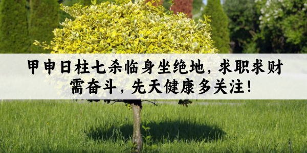 甲申日柱七杀临身坐绝地,求职求财需奋斗,先天健康多关注!