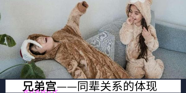 紫微斗数中的兄弟宫——同辈关系的体现