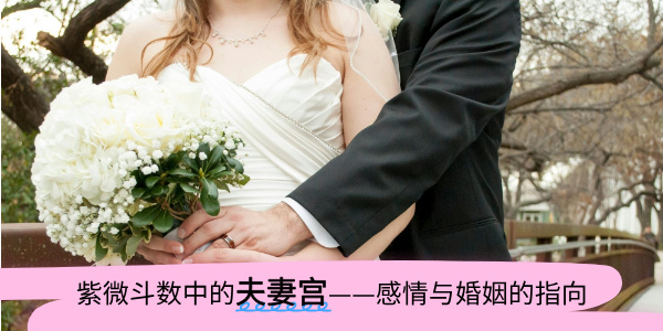 紫微斗数中的夫妻宫——感情与婚姻的指向