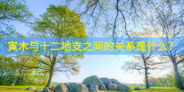 寅木与十二地支之间的关系是什么？