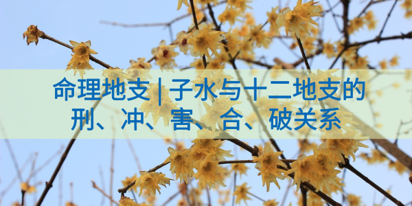 命理地支|子水与十二地支的刑、冲、害、合、破关系