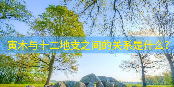 寅木与十二地支之间的关系是什么？