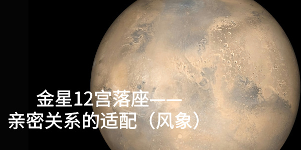金星12宫落座——亲密关系的适配（风象）