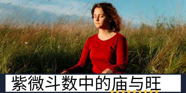 紫微斗数：庙与旺 &mdash;&mdash; 星曜能量的强势状态