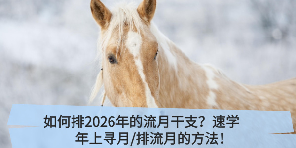 如何排2026年的流月干支？速学年上寻月/排流月的方法！