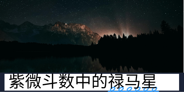 紫微斗数中的禄马星有哪些？分别代表了什么？