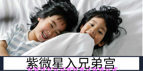 紫微星入兄弟宫：手足间的主导者